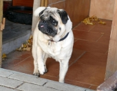 Pension_23