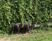 Pension_24