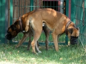 Pension_43