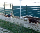 Pension_12
