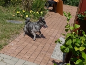 Pension_10