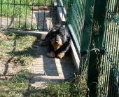 Pension_11