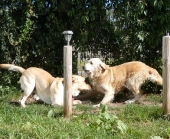 Pension_12