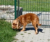 Pension_24