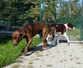 Pension_25