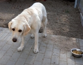 Pension_2