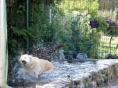 Pension_48