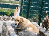 Pension_12