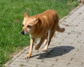Pension_11