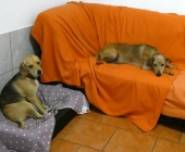 Pension_3