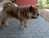 Pension_40