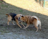 Pension_2