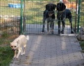 Pension_25