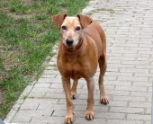 Pension_48