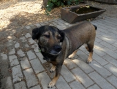 Pension_47