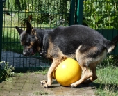 Pension_67