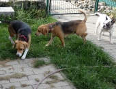 Pension_29
