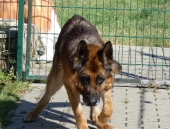 Pension_72