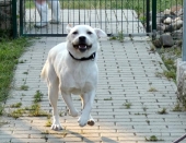 Pension_70