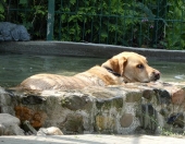 Pension_24
