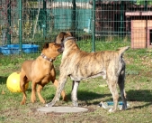 Pension_11