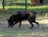 Pension_25