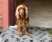 Pension_11