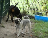 Pension_27