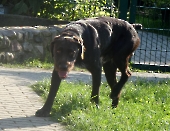 Pension_46