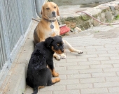 Pension_19