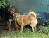 Pension_22