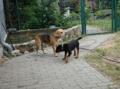 Pension_23