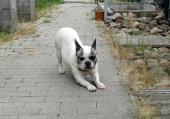 Pension_27