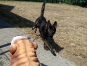 Pension_29