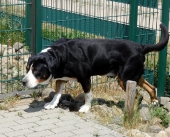 Pension_32