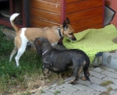 Pension_3