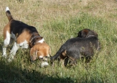Pension_4