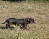 Pension_6