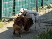 Pension_26