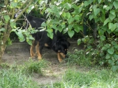 Pension_27