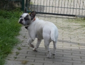 Pension_2