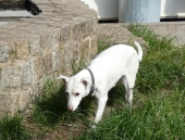 Pension_34