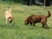 Pension_6