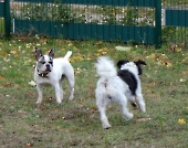 Pension_46