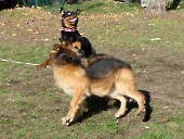 Pension_69