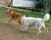 Pension_21
