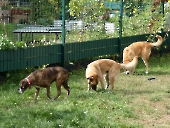 Pension_36