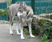 Pension_44