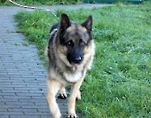 Pension_47