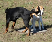 Pension_4